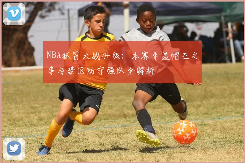 NBA抓冒大战升级：本赛季盖帽王之争与禁区防守强队全解析