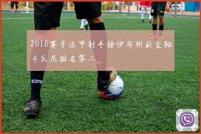 2016赛季法甲射手榜伊布斩获金靴卡瓦尼排名第二