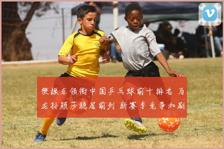 樊振东领衔中国乒乓球前十排名 马龙孙颖莎稳居前列 新赛季竞争加剧